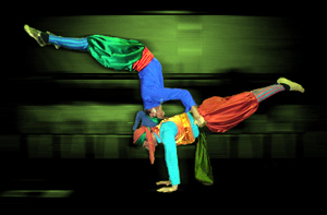 *Acrobatic Performer (Female and Male)
